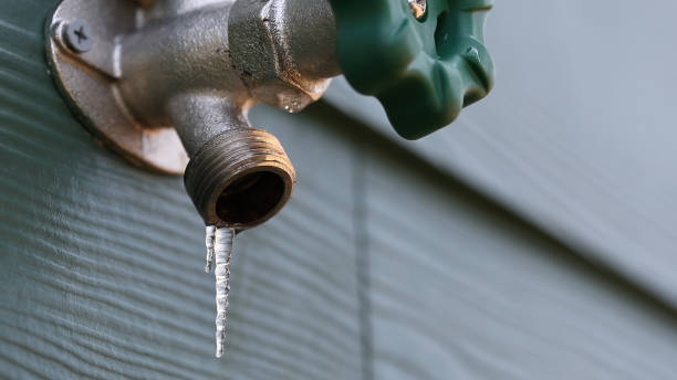 Best Plumbing Services Near Me  in Englishtown, NJ